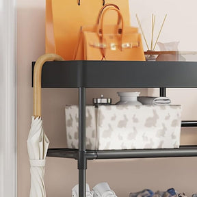 Shoe Rack and Organizer